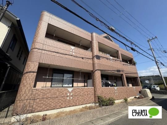 �n�C���E�T�U���N���X �O�ώʐ^