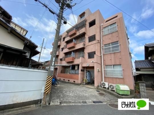 �J�g���A�n�C�c �O�ώʐ^