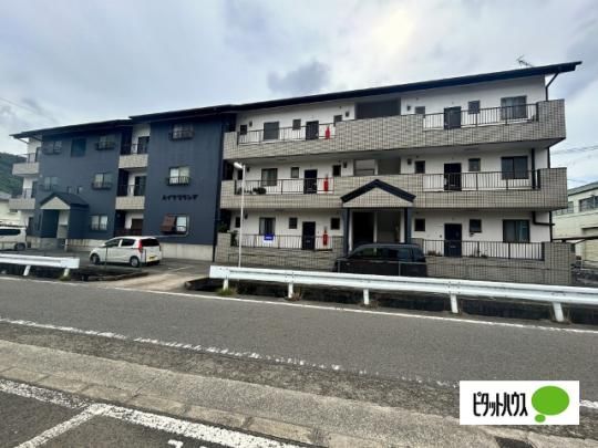 �n�C�c�O�����f �O�ώʐ^