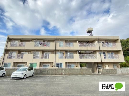 �s���A�V�e�B�[�T�U�P �O�ώʐ^