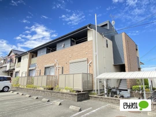 �y�V���[�������� �O�ώʐ^