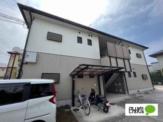 �V���[���]���R�� �O�ώʐ^