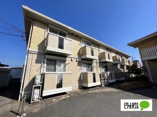 �R���t�B�A���X�@�`�� �O�ώʐ^