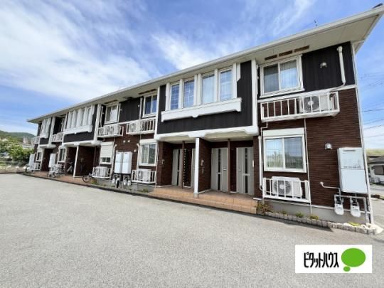 �V�����E�m�[���@�]�U �O�ώʐ^