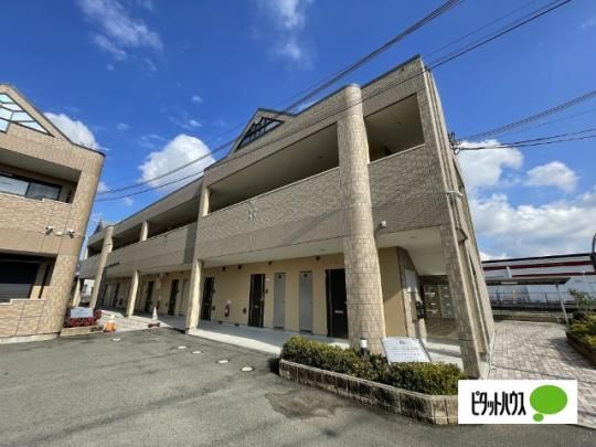 ���E�V���t�B�[�h �O�ώʐ^