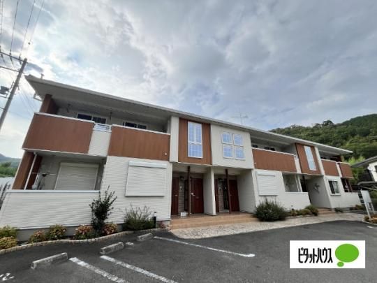 ���E���B�[���V �O�ώʐ^