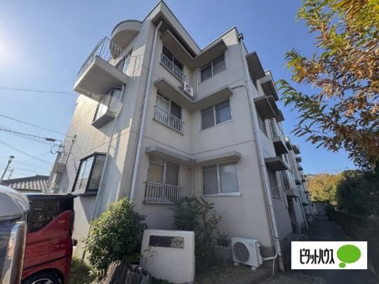 ���l�O���[���n�C�c �O�ώʐ^