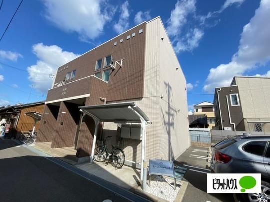 ���C�X�E�V���[���U �O�ώʐ^