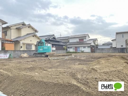 �T�E�X���|�[���@�U �O�ώʐ^