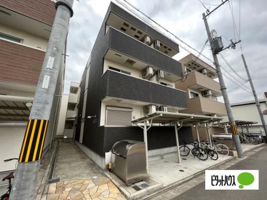 �t�W�p���X���c�Y�Ԋ� �O�ώʐ^