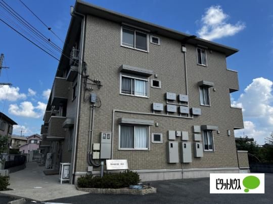 �T���V���C���E�q���Y �O�ώʐ^