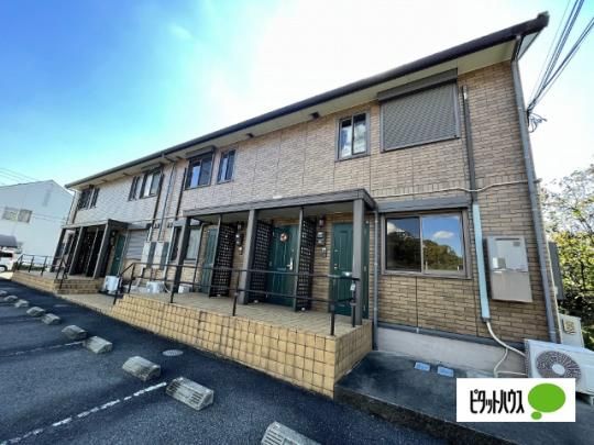 ���̓m�R�[�g�@�a�� �O�ώʐ^