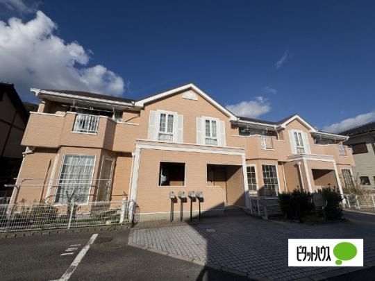 ���]���E���[�u �O�ώʐ^