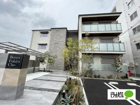 BEREO������ �O�ώʐ^