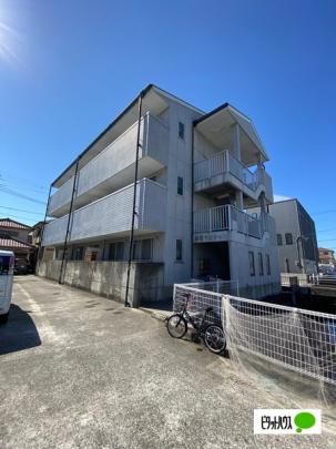 �A���}���V���� �O�ώʐ^