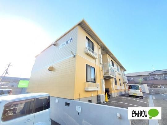 �j���[�n�C�c�{�� �O�ώʐ^