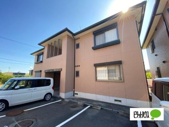 �V���[���]���V���U �O�ώʐ^