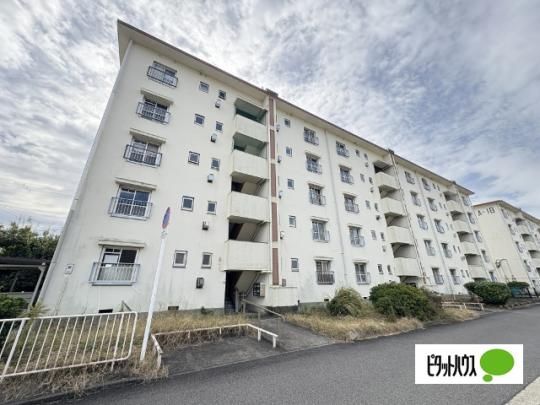 �r���b�W�n�E�X��19���� �O�ώʐ^