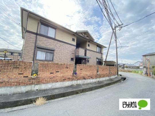 �V���t�H�j�[�^�E���T�@A�� �O�ώʐ^