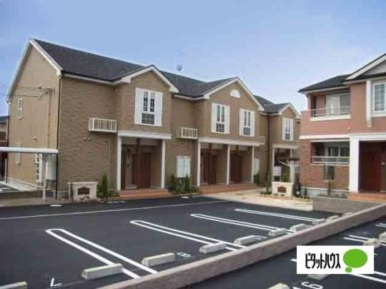 �T�j�[�E���W�f���X���{�T �O�ώʐ^