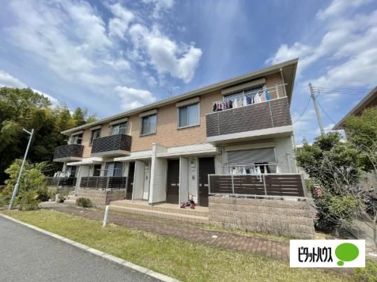 �V���[���]������ �O�ώʐ^