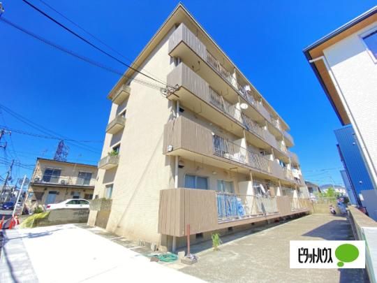 ���l�R�[�|���X �O�ώʐ^