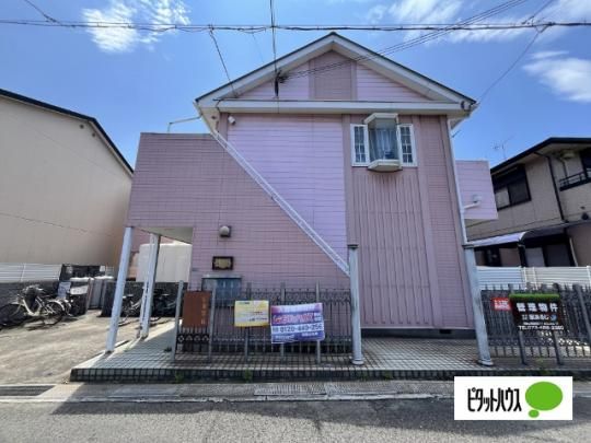 ���I�p���X����2 �O�ώʐ^