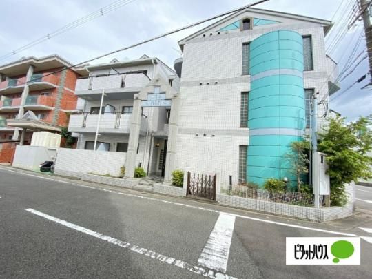 �V�����}���t�W���V����Ԋ� �O�ώʐ^