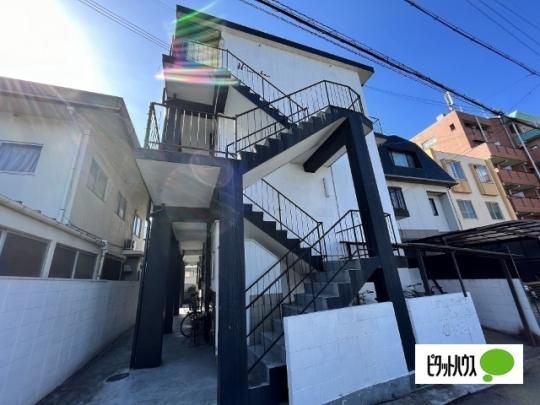 �n�V���R�E �O�ώʐ^