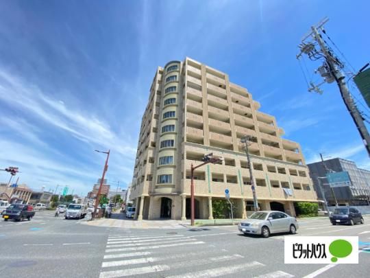 ���j�E�A���X����v���W�I �O�ώʐ^