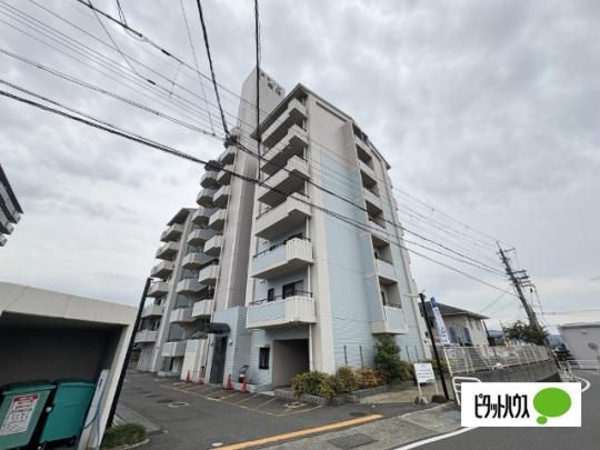 �X�e�[�W���r �O�ώʐ^