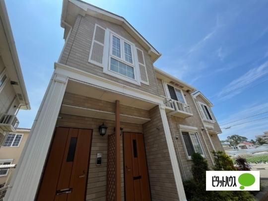 �A�[�f�����l�@�T �O�ώʐ^