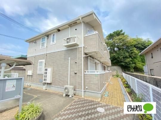 �y�X�J�E���R �O�ώʐ^