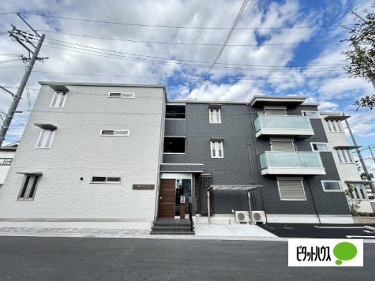 �_�O�E�G�X�g�����Y �O�ώʐ^