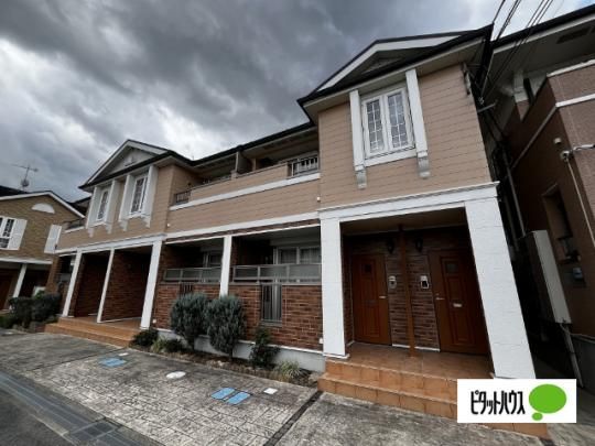 �T�j�[�E���W�f���X���{�U �O�ώʐ^