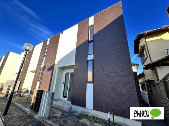 NAPICA(�i�s�J)�@B�� �O�ώʐ^