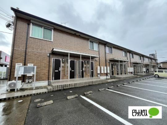 ���[�΂�͂��_�O�U�i�R�E�U�L�j �O�ώʐ^