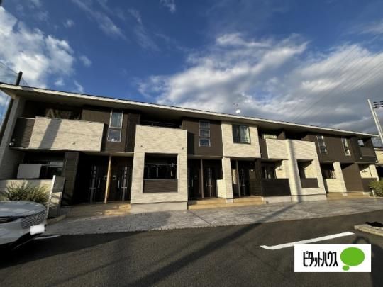 �A�f���R�[�g�� �O�ώʐ^