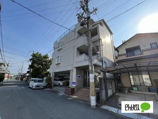 �n�[���j�[�R�[�g �O�ώʐ^