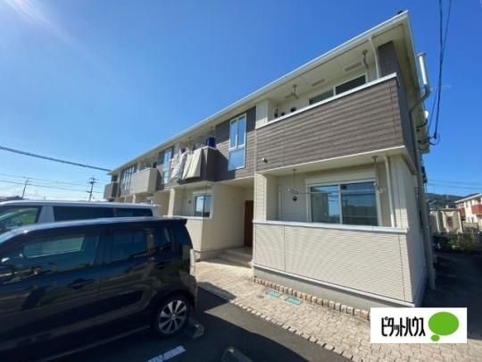 �A���@���c�@�[�g�V �O�ώʐ^