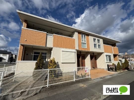 �V�����p���e�B�G�@�V �O�ώʐ^