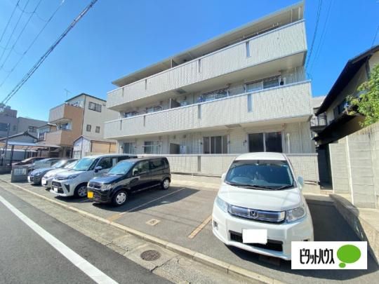 �A�����B�X�R�[�g �O�ώʐ^