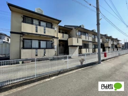 ���������� �O�ώʐ^