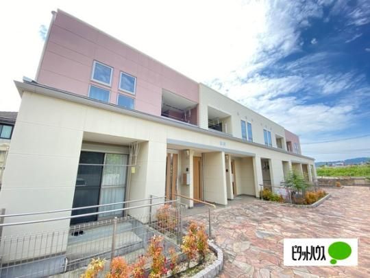 �O�����A�Z�b�g��R �O�ώʐ^