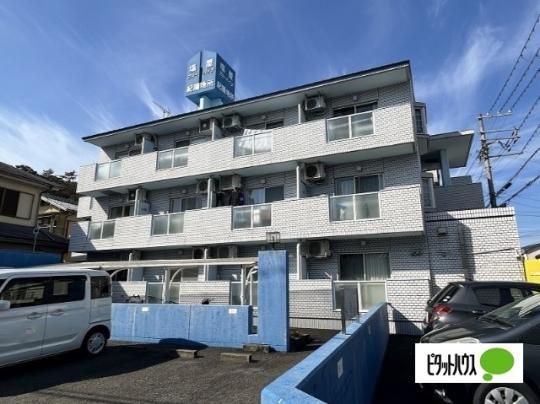 �u���[�n�C�c���� �O�ώʐ^