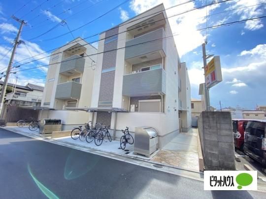 �t�W�p���X�a�̎R�g�c�T�Ԋ� �O�ώʐ^