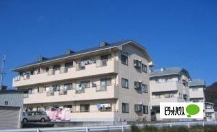 �����f�B�[�n�C�����݂� �O�ώʐ^