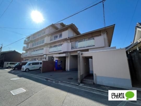 ��񓡑��}���V���� �O�ώʐ^