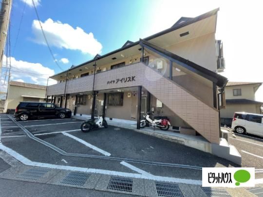 �n�C�c�A�C���X�j �O�ώʐ^