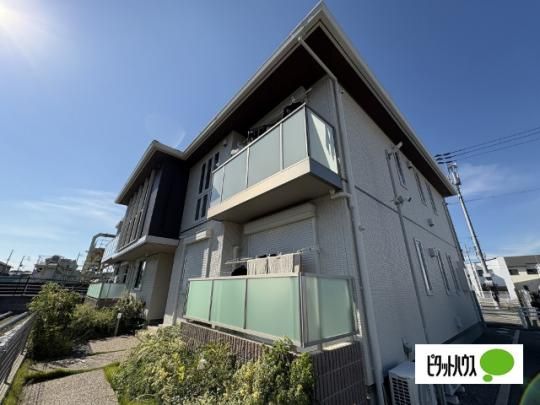 �V���[���]���l�h�r�`�@ �O�ώʐ^